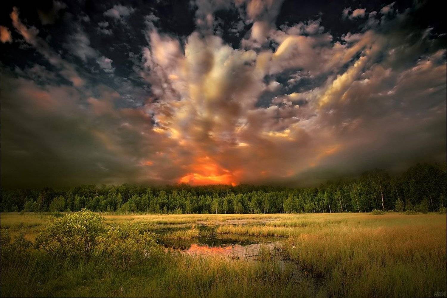 , Аркадий Усиков