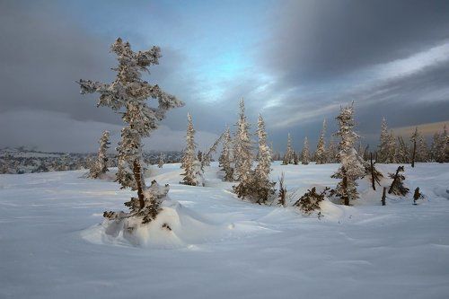 Прощальный вечер, светлая грусть... (2)