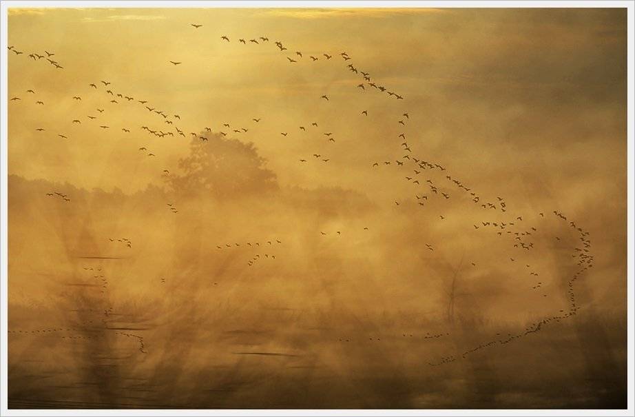 , Krzysztof Trojanowski