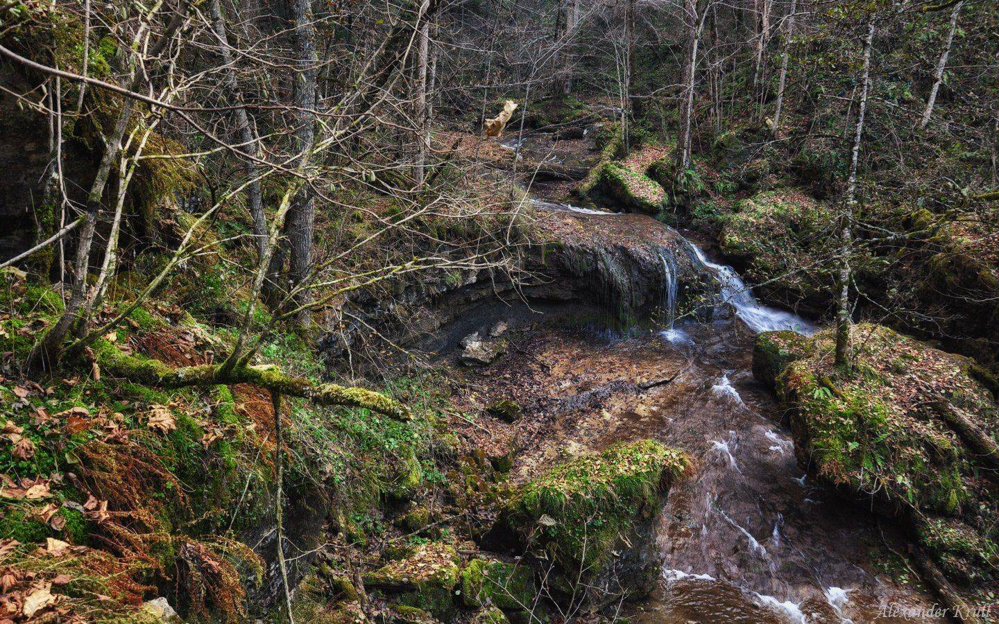 , Александр Круль