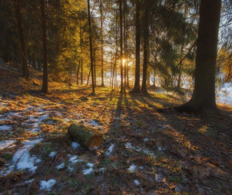 . фото превью