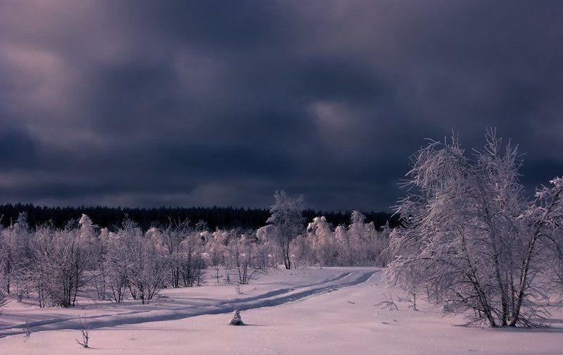 В гостях у снежной королевы. фото превью