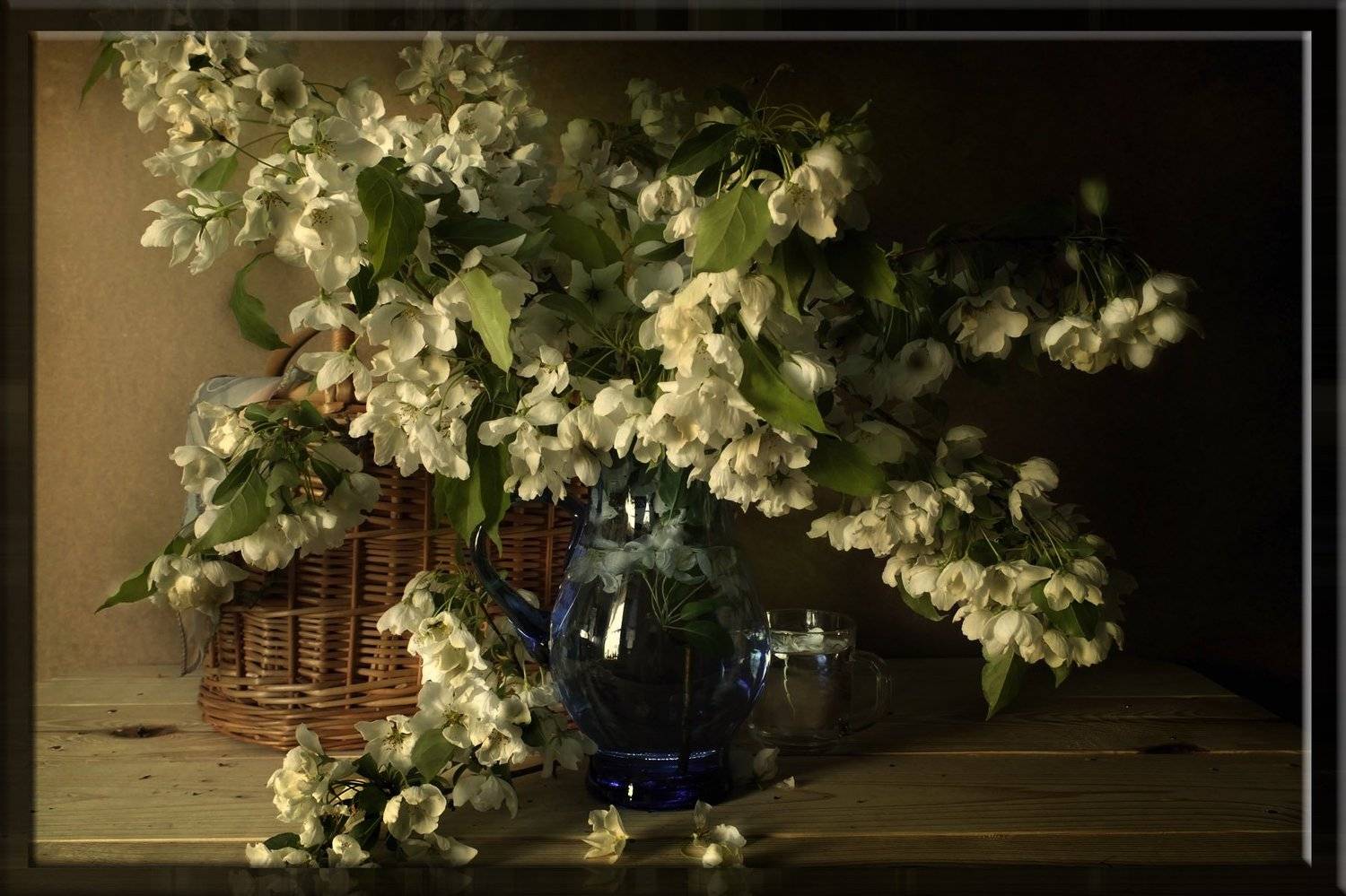 Белые цветы яблони, Красивые цветы яблони, Натюрморт с цветами, Цветы яблони, Вера