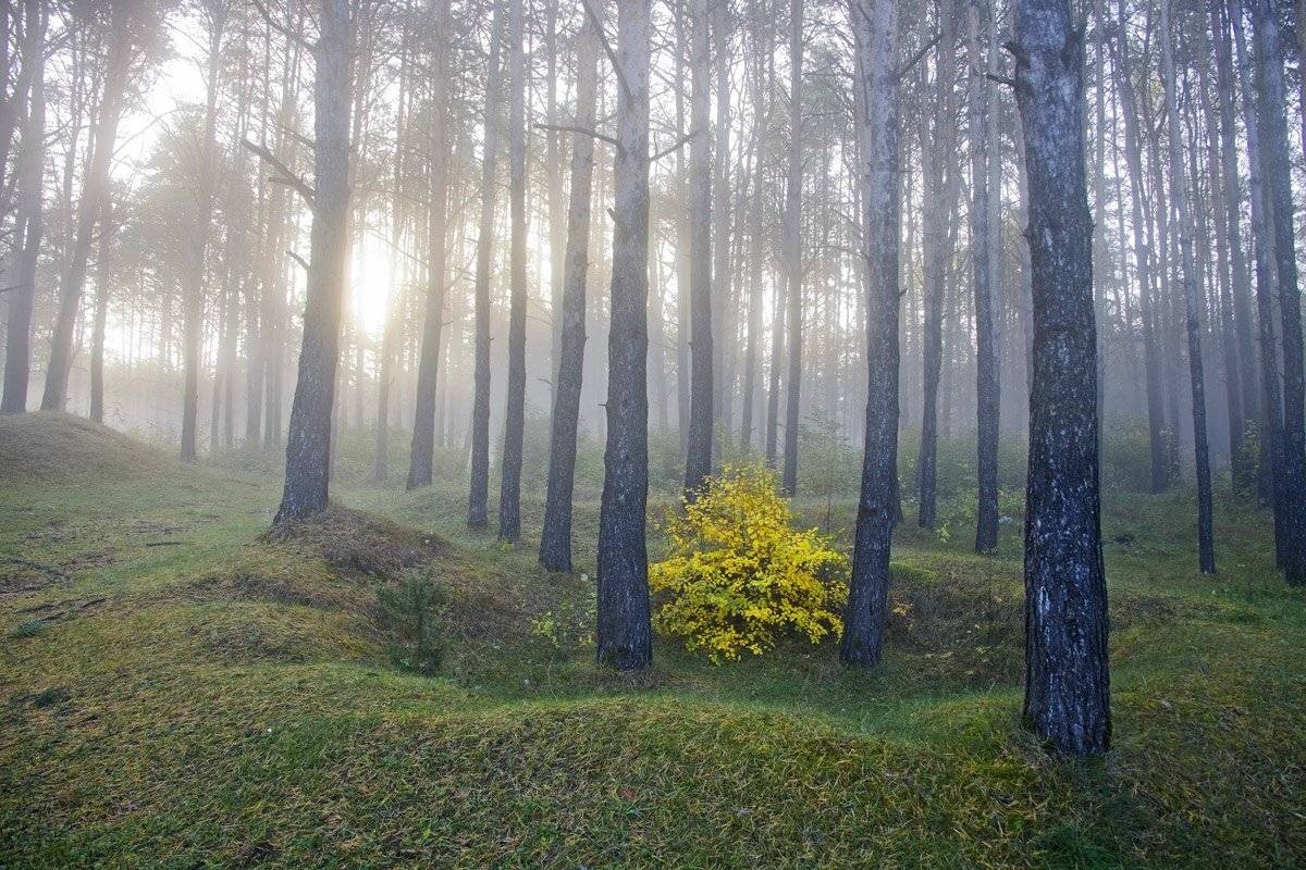 , Валерий Кондратов