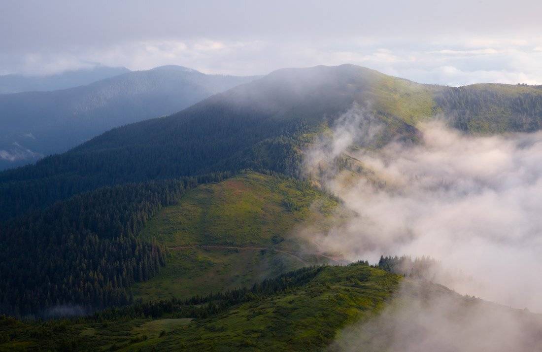 , Ярослав Тюрменко (Jaremi)