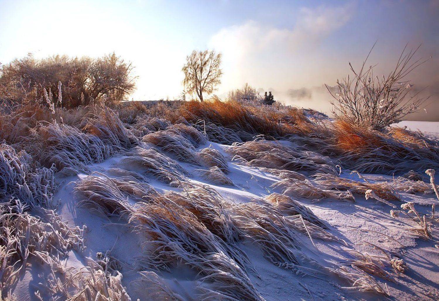 , Матвей Белый