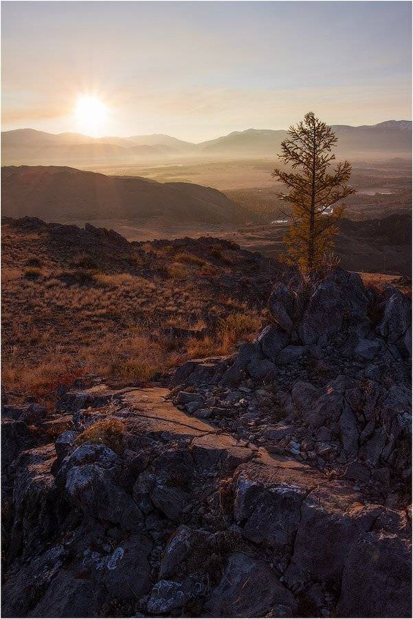 Алтай. Курай. Курайская степь. Altai. Kurai, Кутыгин Эдуард