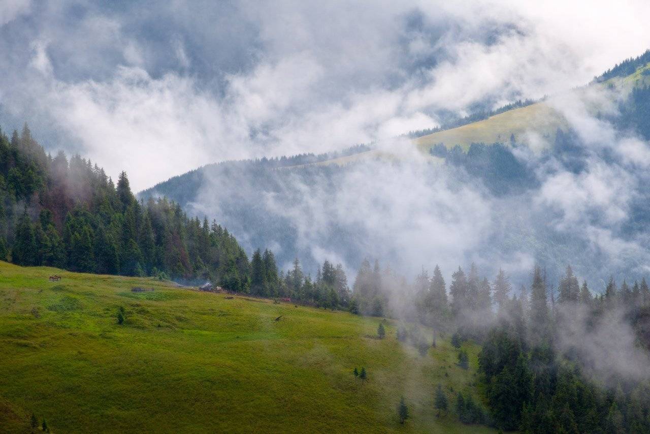 , Ярослав Тюрменко (Jaremi)