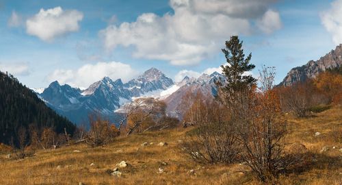Семёнов-Баши