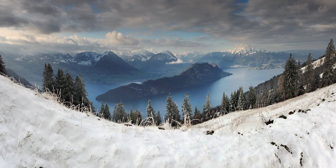 , Матвеев Николай