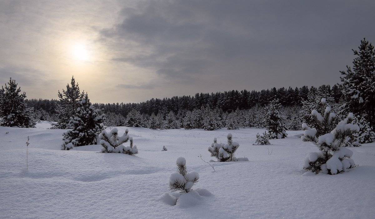 , Николай Морский