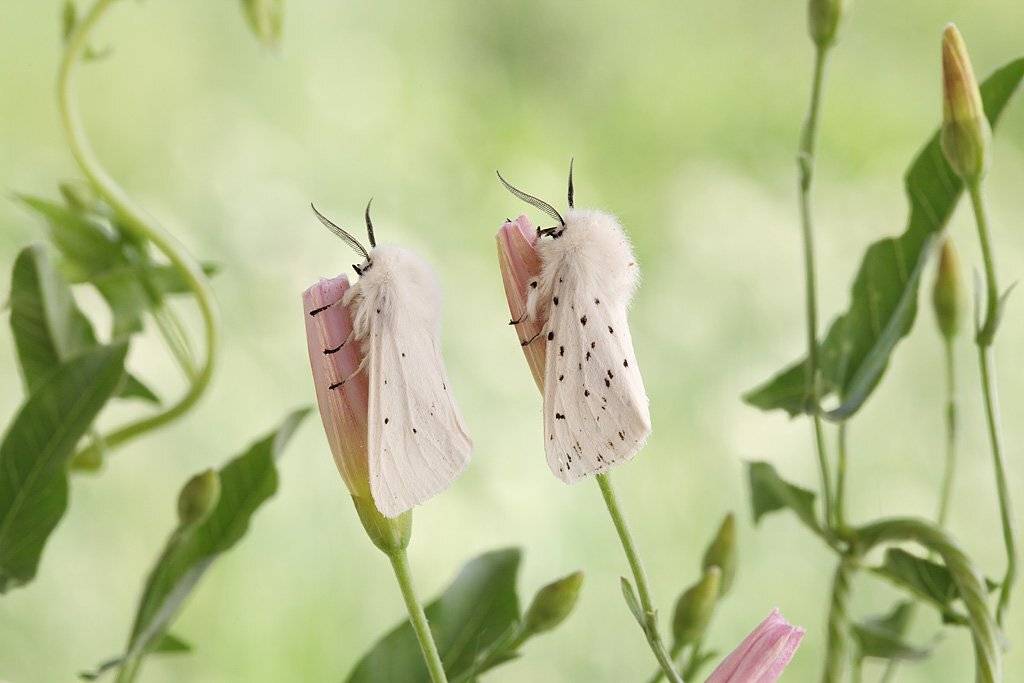 , Сергей Таланов
