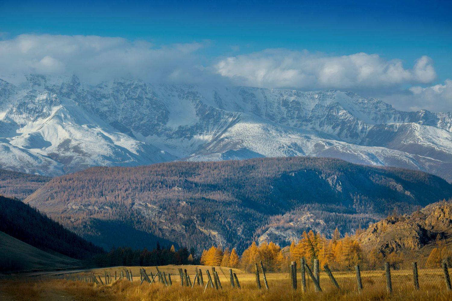 , Константин Буркин