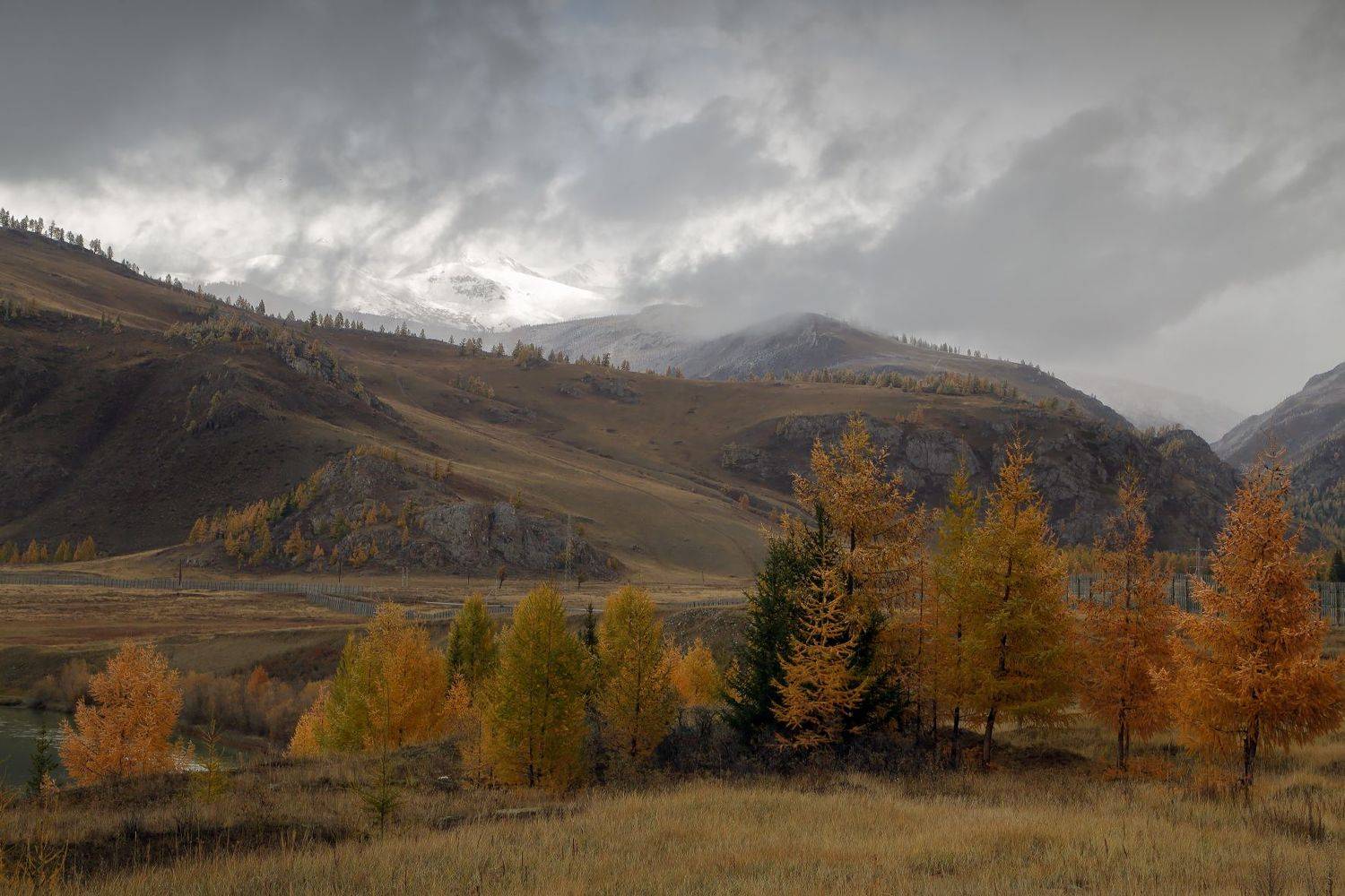 , Евгений Зинов