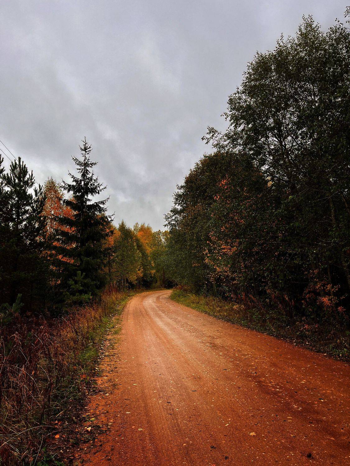 , Бравичева Анастасия