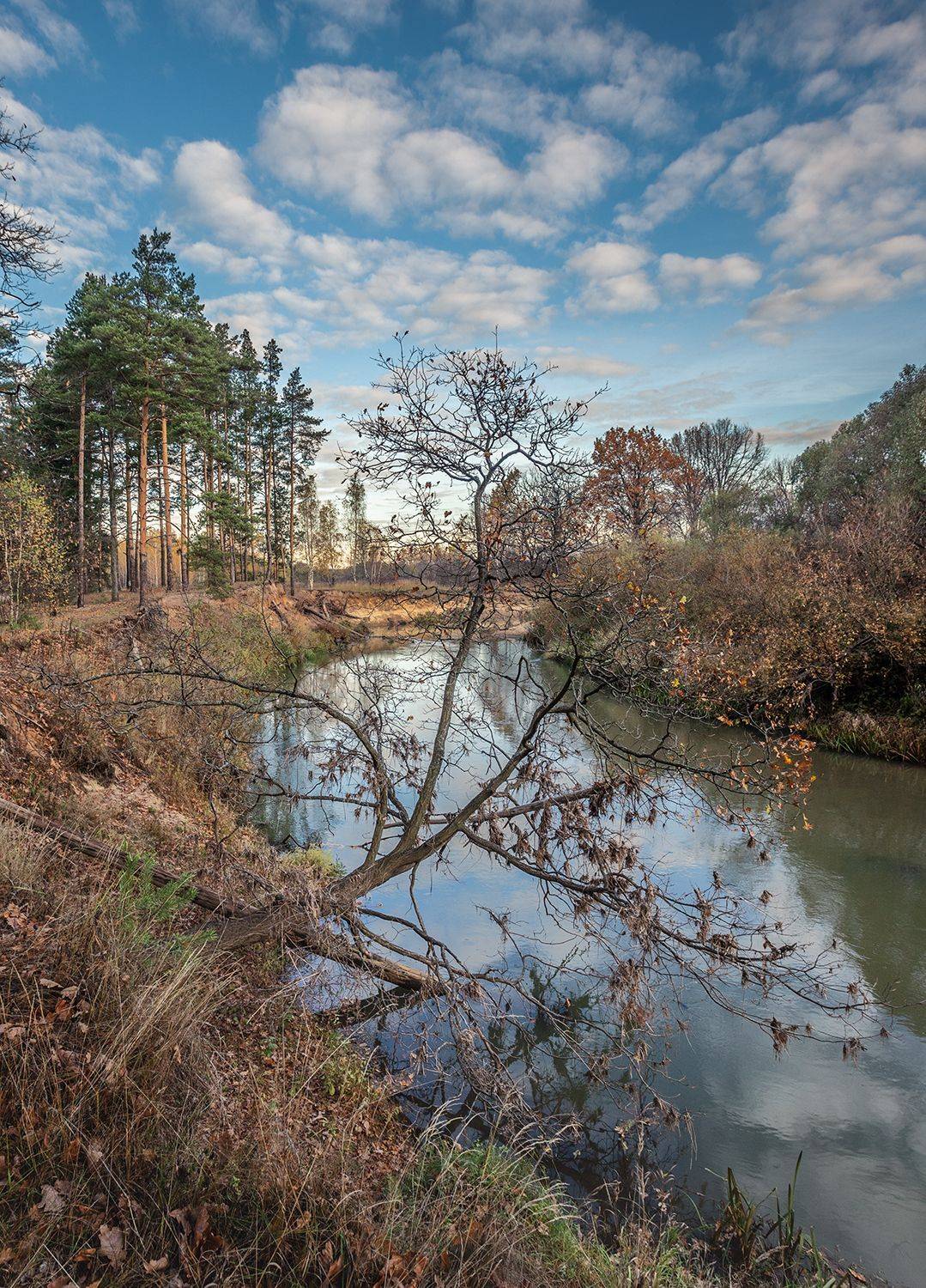 , Андреев Николай