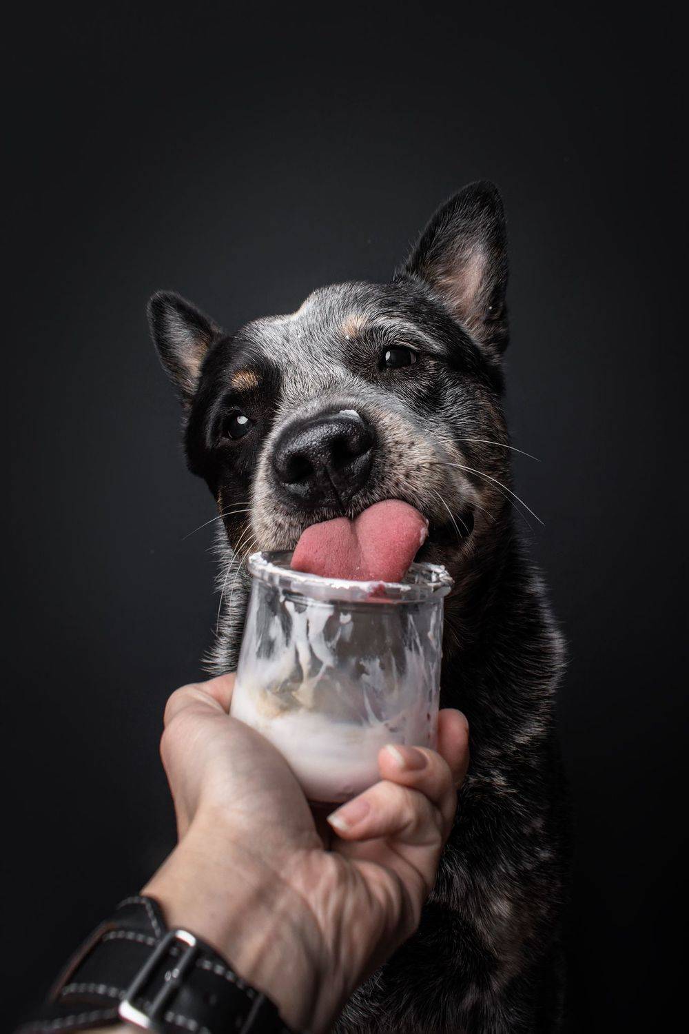 , Юлия Гончар