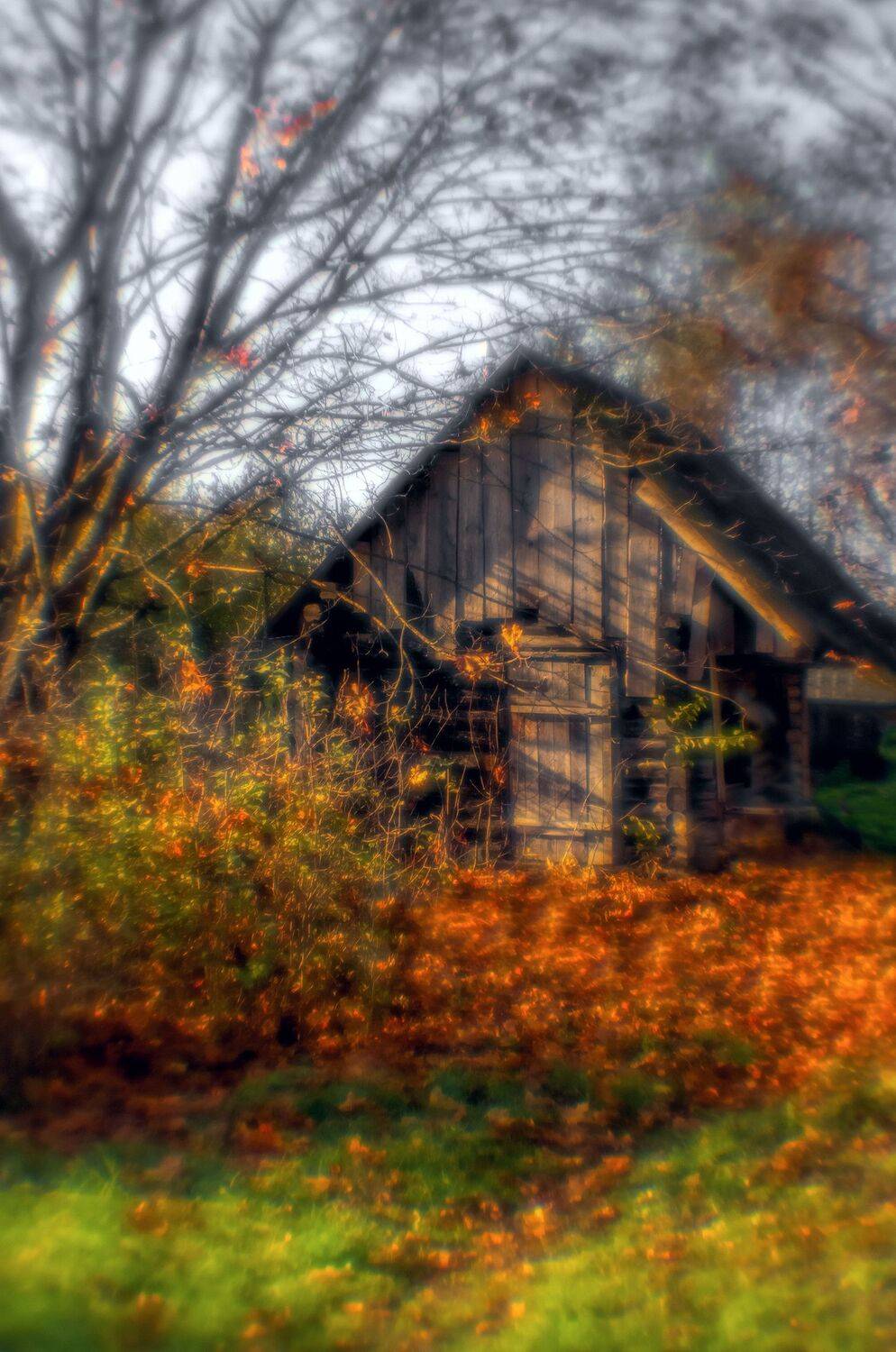 осень, пейзаж, монокль,  Sixten (Сергей)