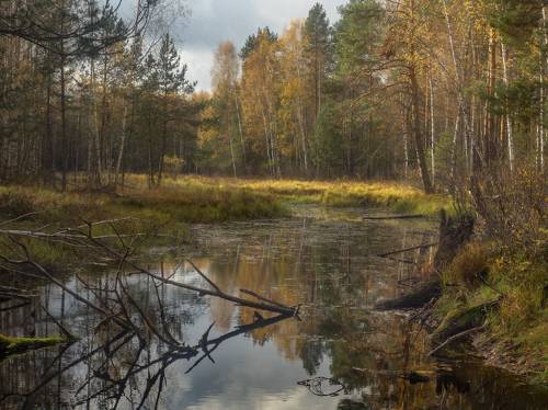 Погожий денёк