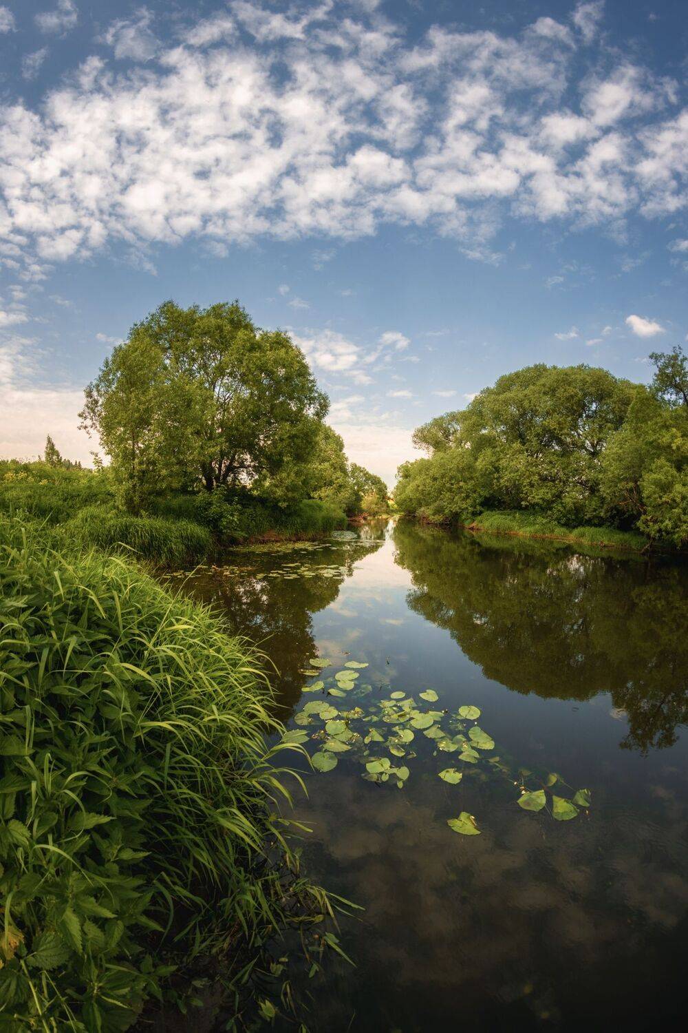 , Котов Андрей