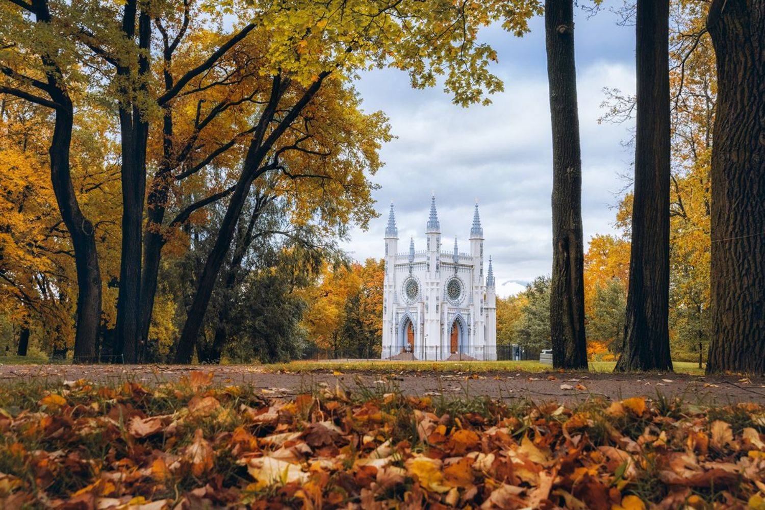 петергоф, Майя Афзаал