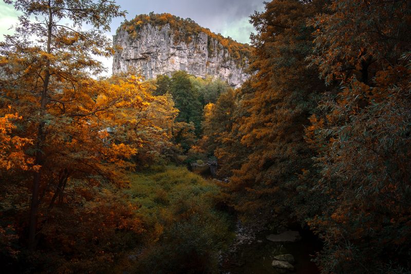 bulgaria,travel,green,summer,exterior,mountain,tree,forest, Orange фото превью