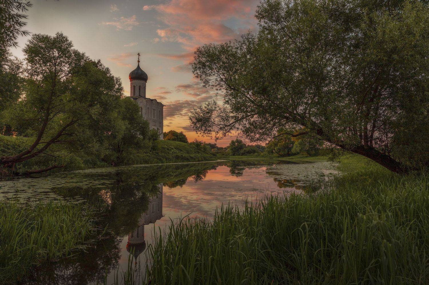 Владимирская область, Гусева Елена