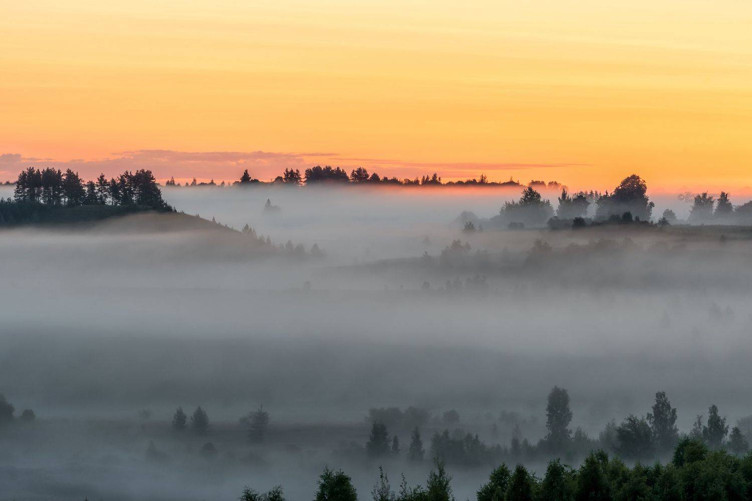 , Виктор Желенговский