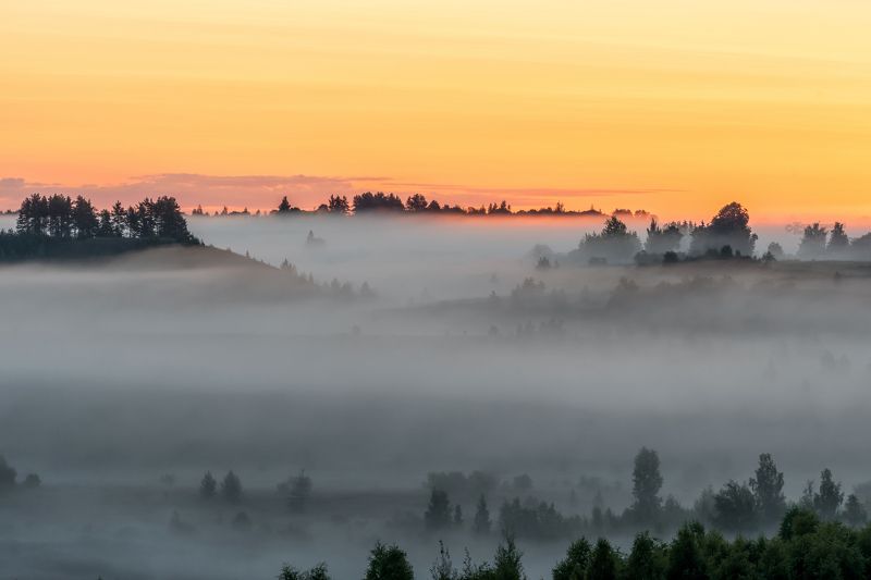 Туманное утро фото превью