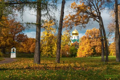 Золотая осень в Фермском парке...