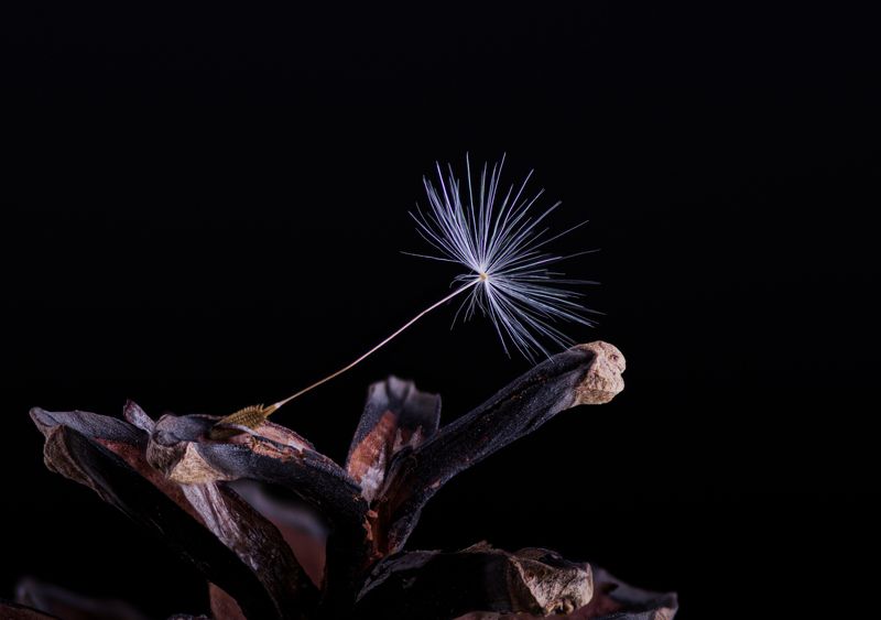 Безметежность фото превью