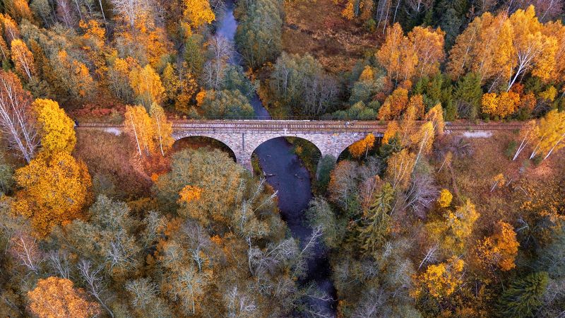 Мост через Ярынью фото превью