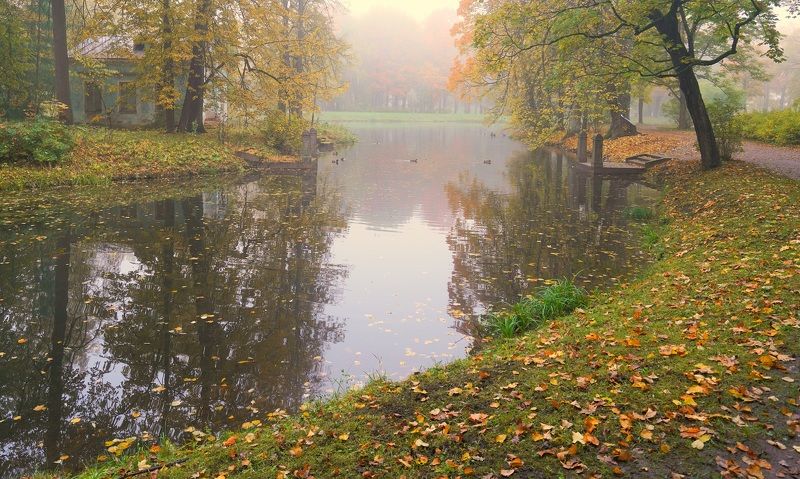Autumn morning фото превью