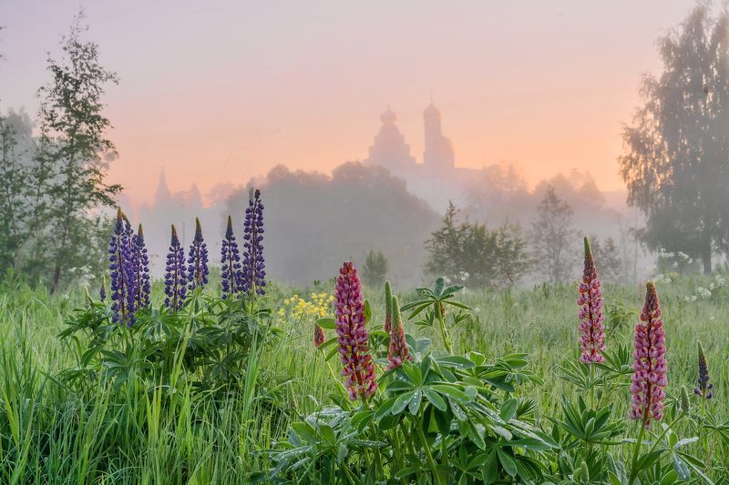Раннее, туманное утро у реки... фото превью