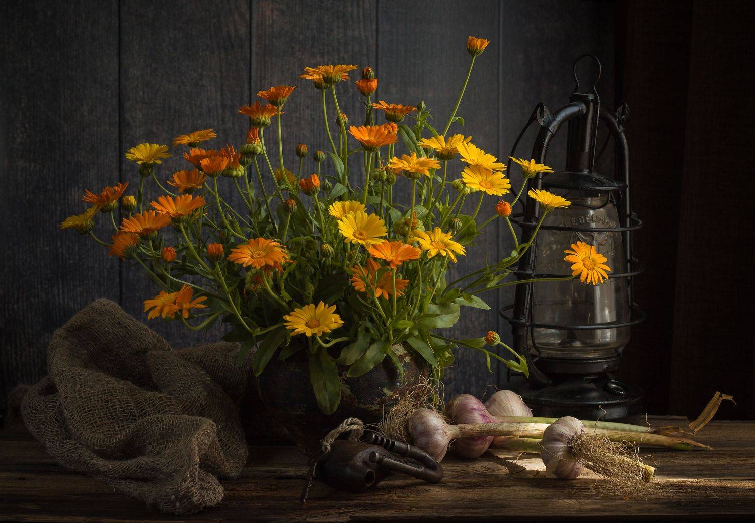 календула, лампа, чеснок, замок, Хвойнова Елена