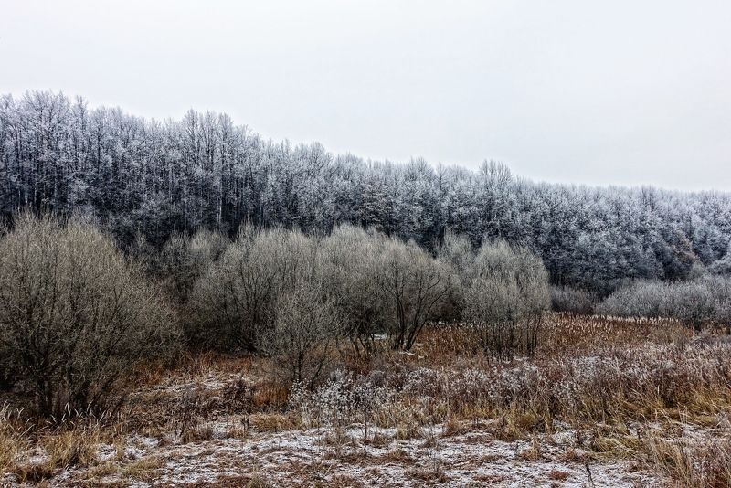 Морозное осеннее утро фото превью