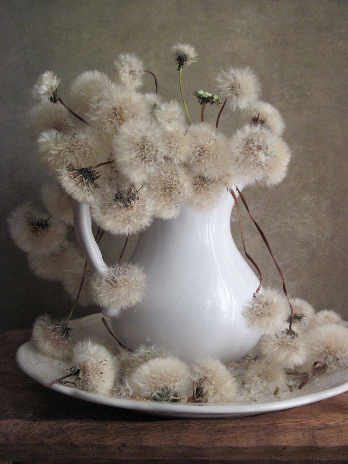 цветы, букет, одуванчики, кувшин, блюдо, фарфор, Наталия Тихомирова