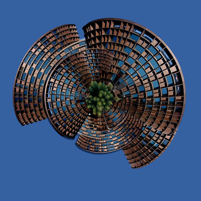 Ramin Barzegar  My Vision фото превью