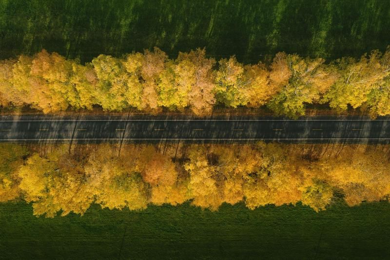 ивановская область Дорога в осень фото превью