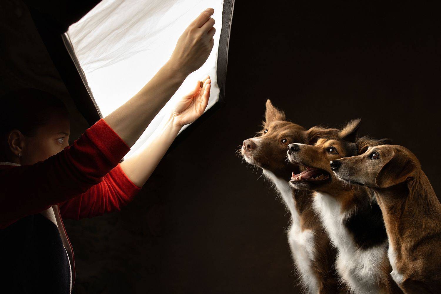 , Светлана Писарева