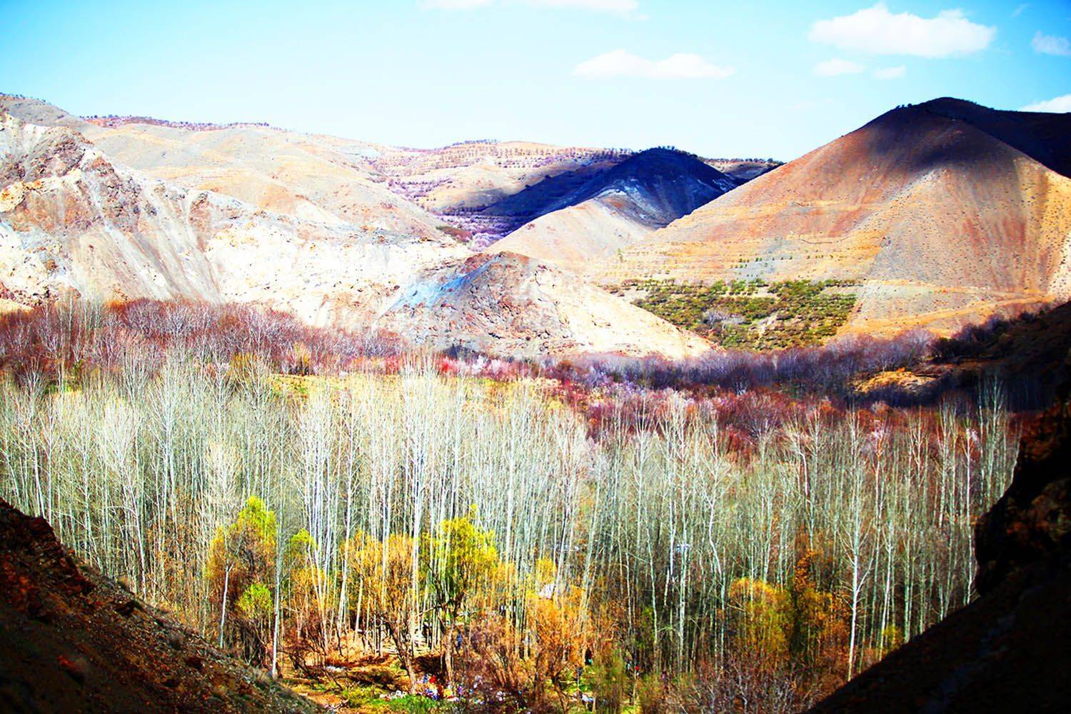 , mehdi karimi souderjani