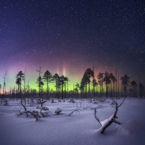 Морозная ночь