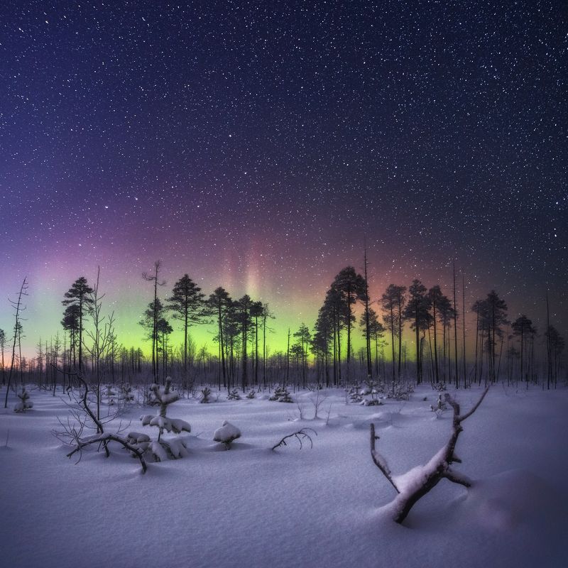Морозная ночь фото превью