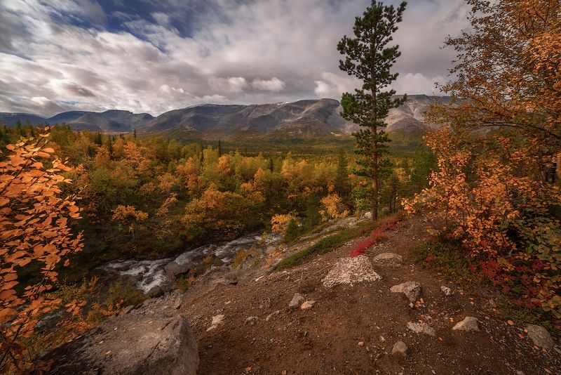 про северную осень фото превью
