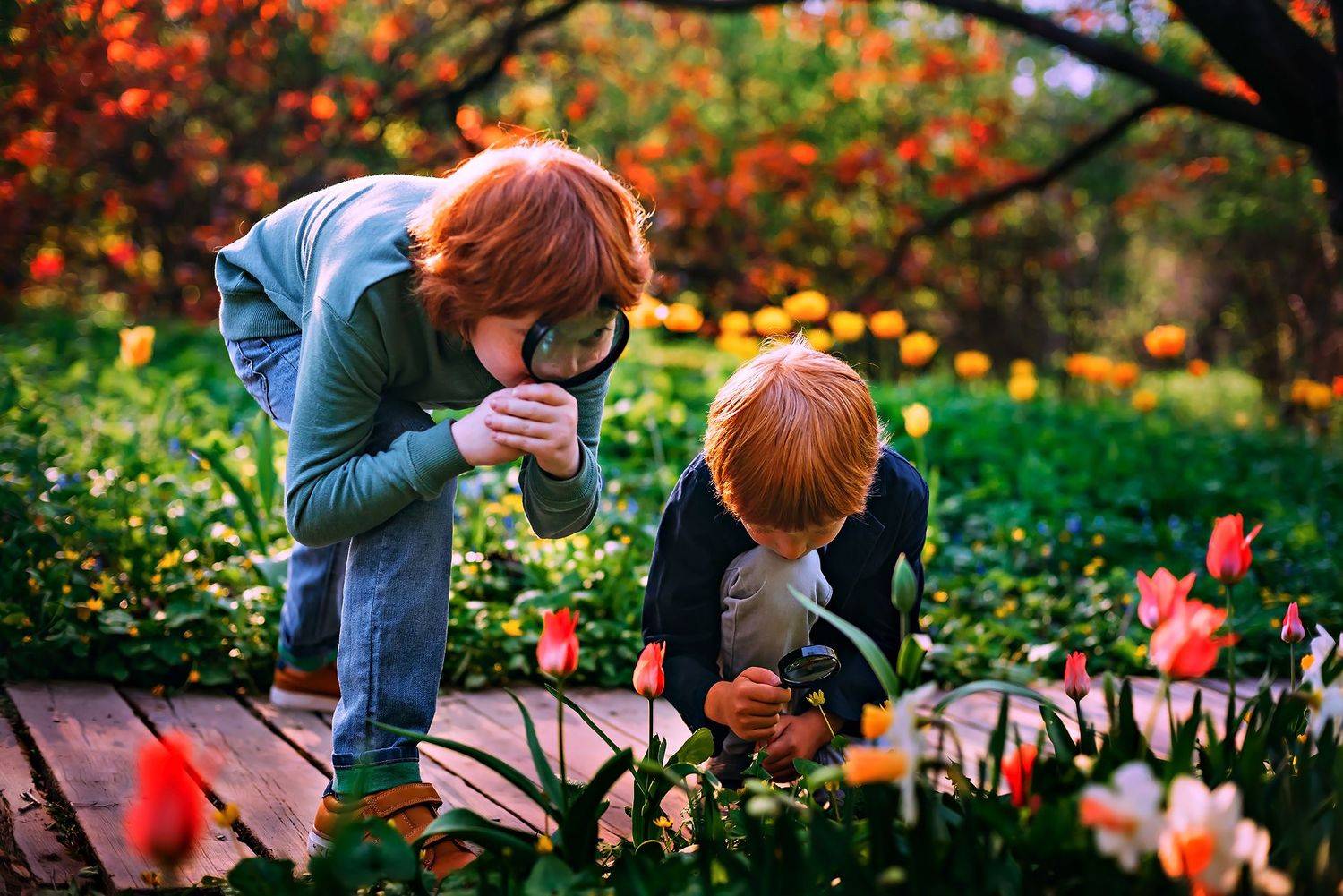 , Дарья Шевченко