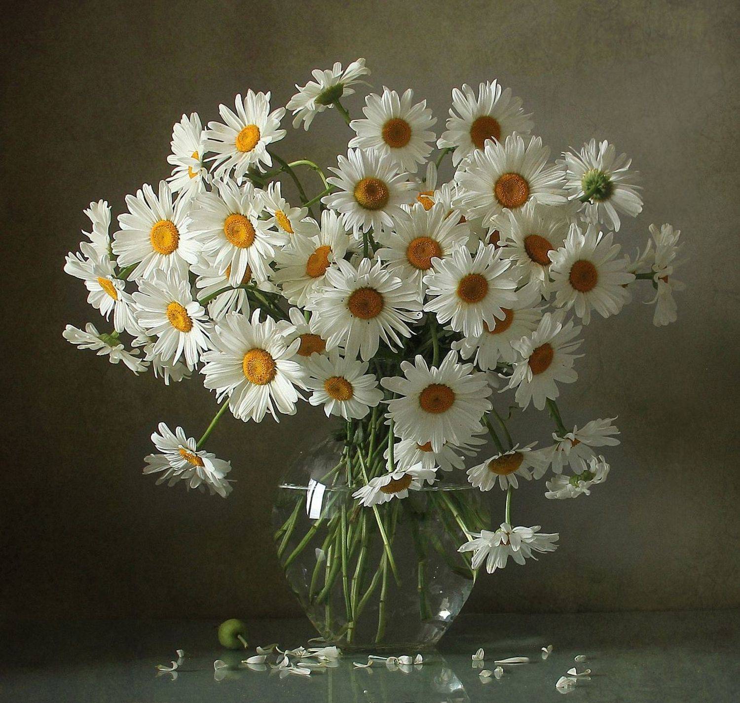 натюрморт, цветы, полевые цветы, лето, марина филатова, ромашки, Марина Филатова