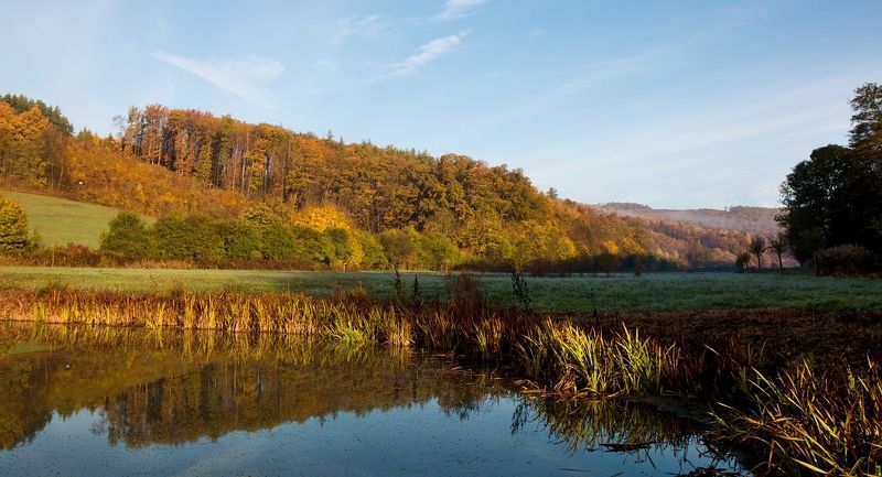 Autumn фото превью