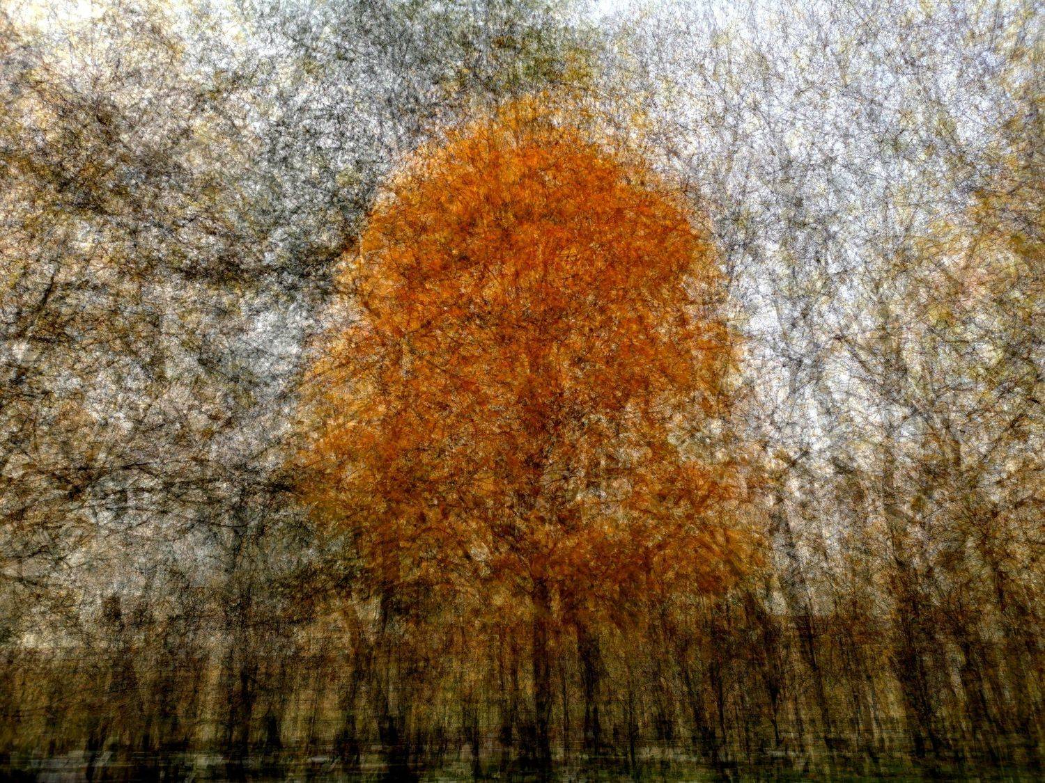 , Антон Лаба