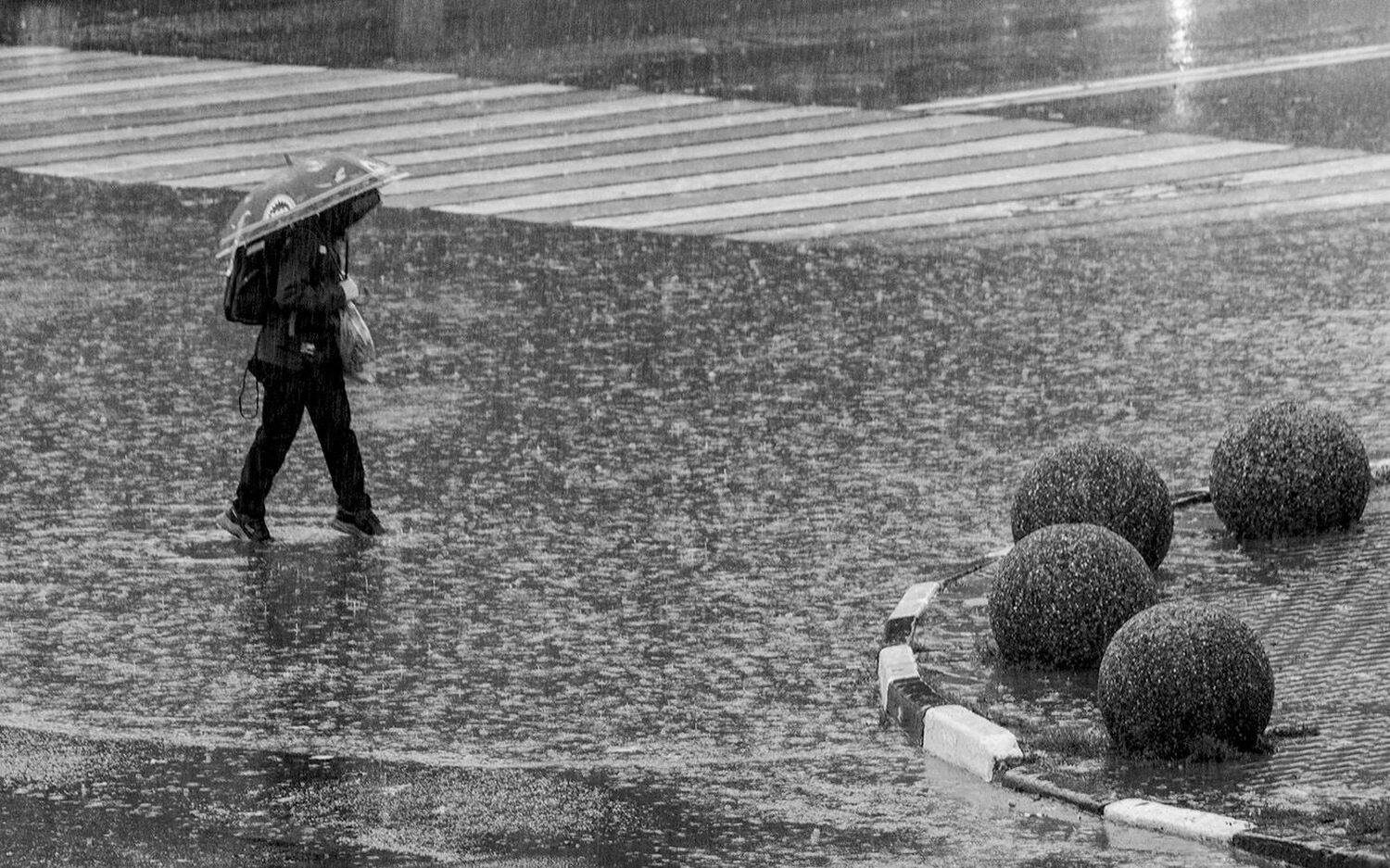 город, тула, дождь, Михаил Агеев