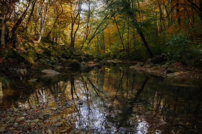 не утонуть бы в этой красоте фото превью